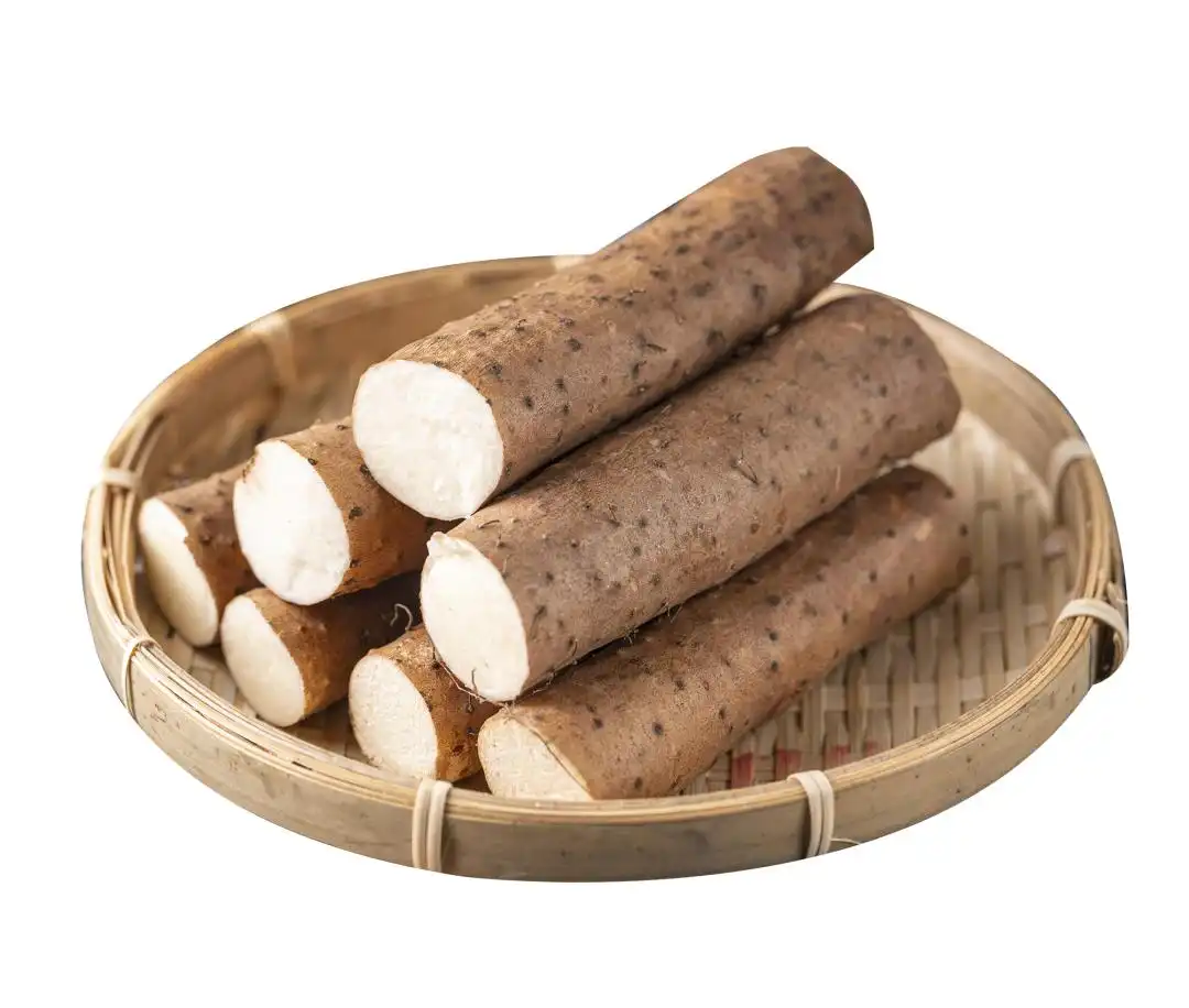 Diosgenin Powder Applications in Nutraceutical Industry
